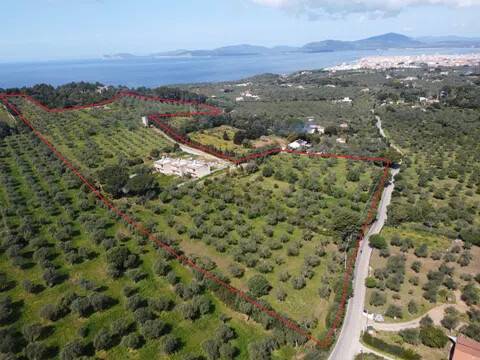 casa indipendente in vendita ad Alghero in zona Centro Storico
