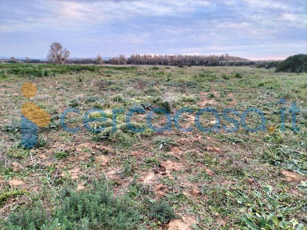 terreno agricolo in vendita ad Alghero in zona Santa Maria La Palma