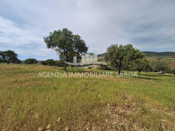 terreno agricolo in vendita ad Alghero
