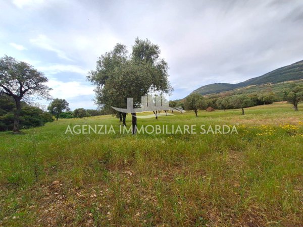 terreno edificabile in vendita ad Alghero
