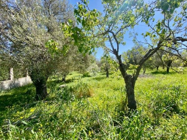 terreno agricolo in vendita ad Alghero in zona Maria Pia