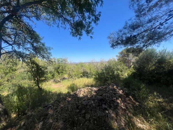 terreno agricolo in vendita ad Alghero in zona Maria Pia