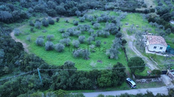 terreno agricolo in vendita ad Alghero