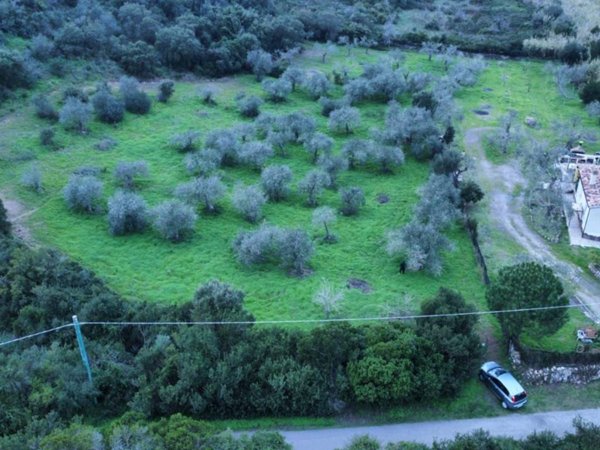 terreno agricolo in vendita ad Alghero
