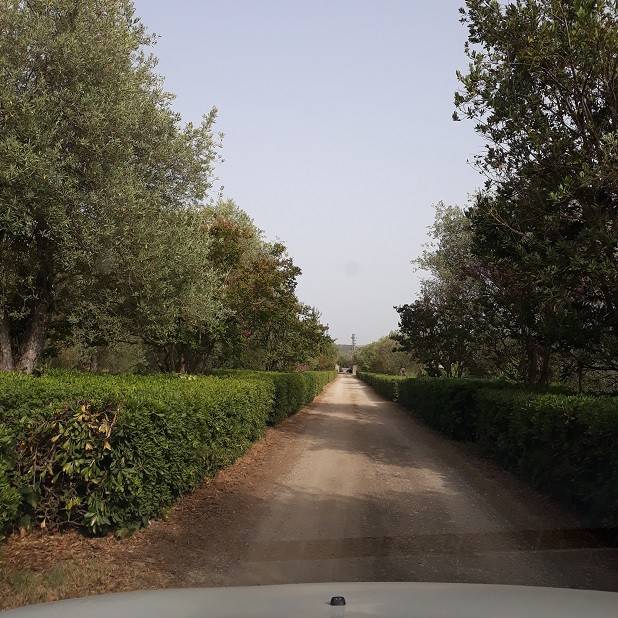 casa indipendente in vendita ad Alghero in zona Fertilia