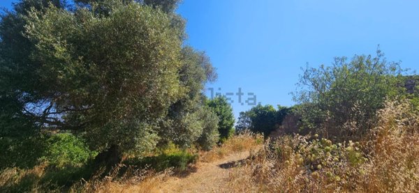 terreno edificabile in vendita ad Alghero in zona Sa Segada