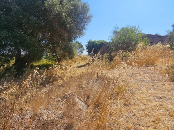 terreno agricolo in vendita ad Alghero in zona Maria Pia