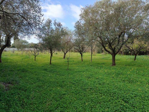 terreno agricolo in vendita ad Alghero in zona Caragol