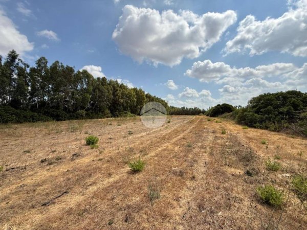 terreno agricolo in vendita ad Alghero