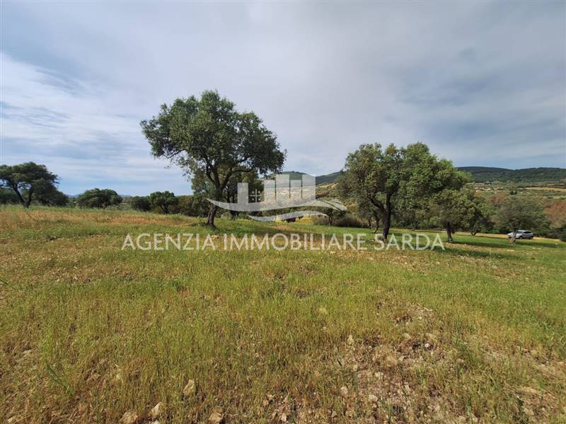 terreno agricolo in vendita ad Alghero in zona Maristella