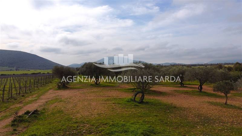 immagine annuncio 0 di 1