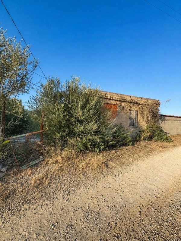 appartamento in vendita ad Alghero