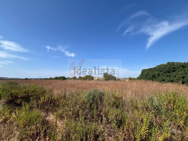 terreno agricolo in vendita ad Alghero