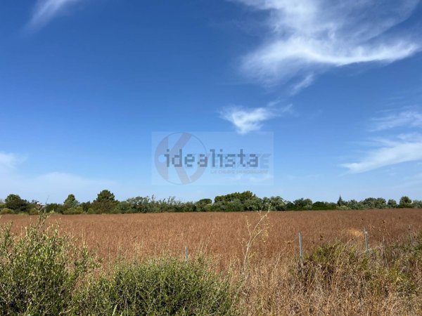 terreno agricolo in vendita ad Alghero