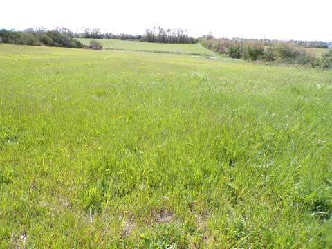 terreno agricolo in vendita ad Alghero in zona Sa Segada