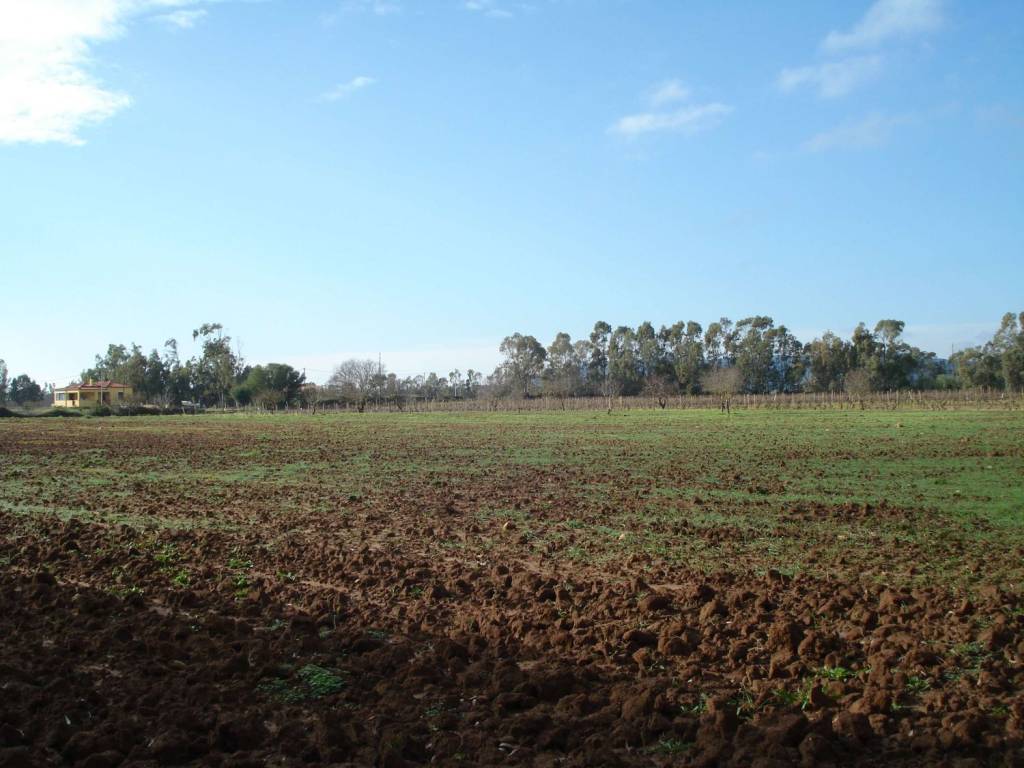 terreno in vendita ad Alghero in zona Carrabuffas