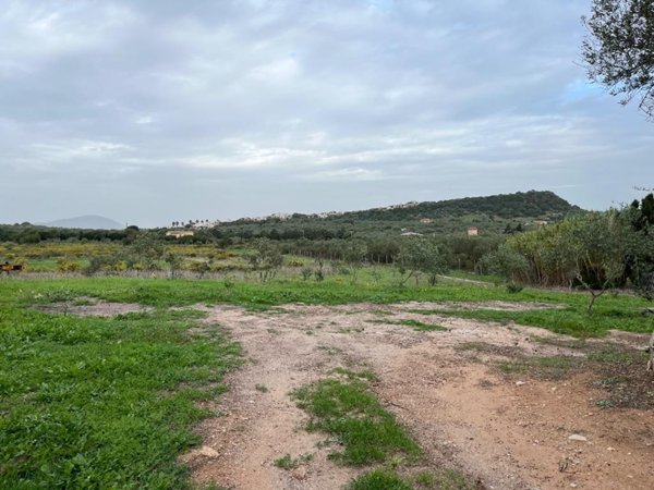 terreno in vendita ad Alghero
