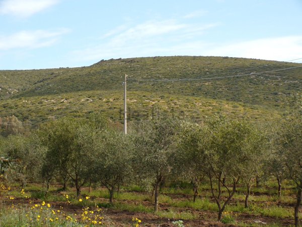 terreno in vendita ad Alghero in zona Santa Maria La Palma