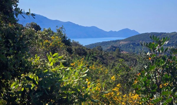 terreno in vendita ad Alghero in zona Sant'Anna