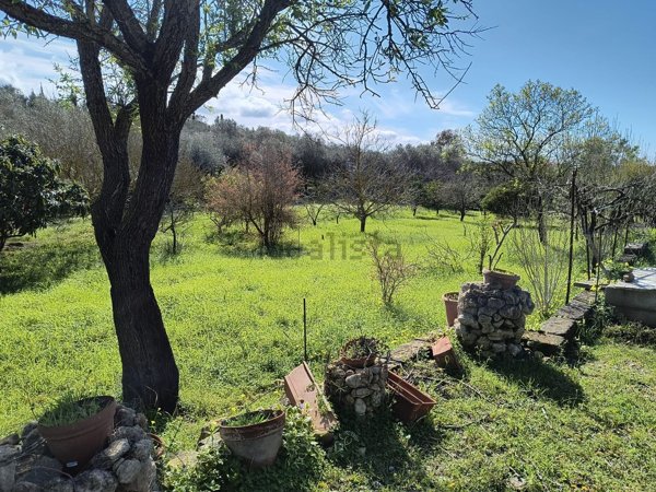 terreno in vendita ad Alghero in zona Carrabuffas