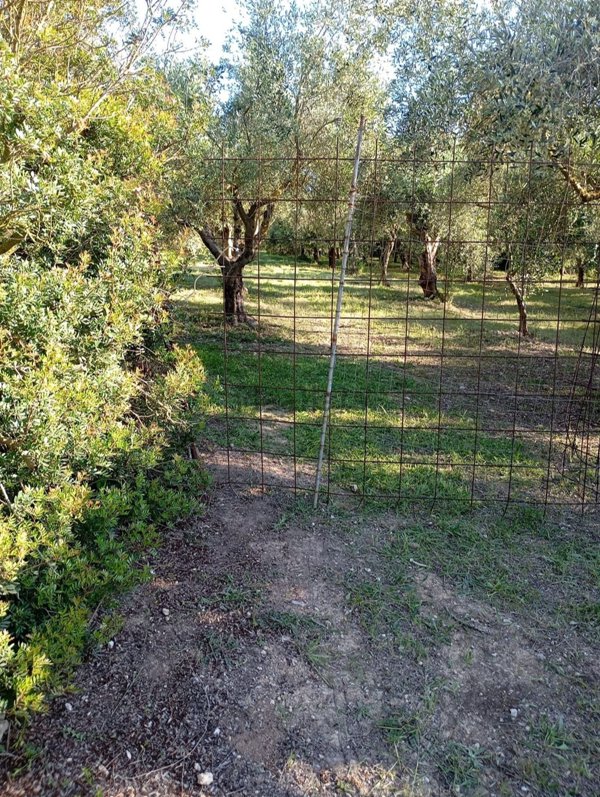 terreno in vendita ad Alghero in zona Carrabuffas