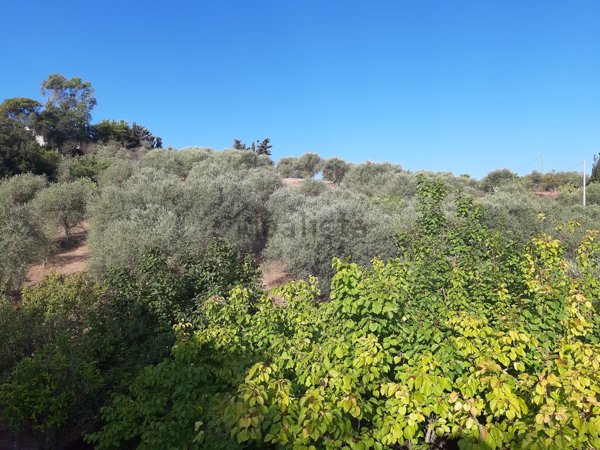 terreno in vendita ad Alghero in zona Sant'Anna