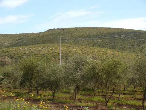 terreno in vendita ad Alghero in zona Santa Maria La Palma