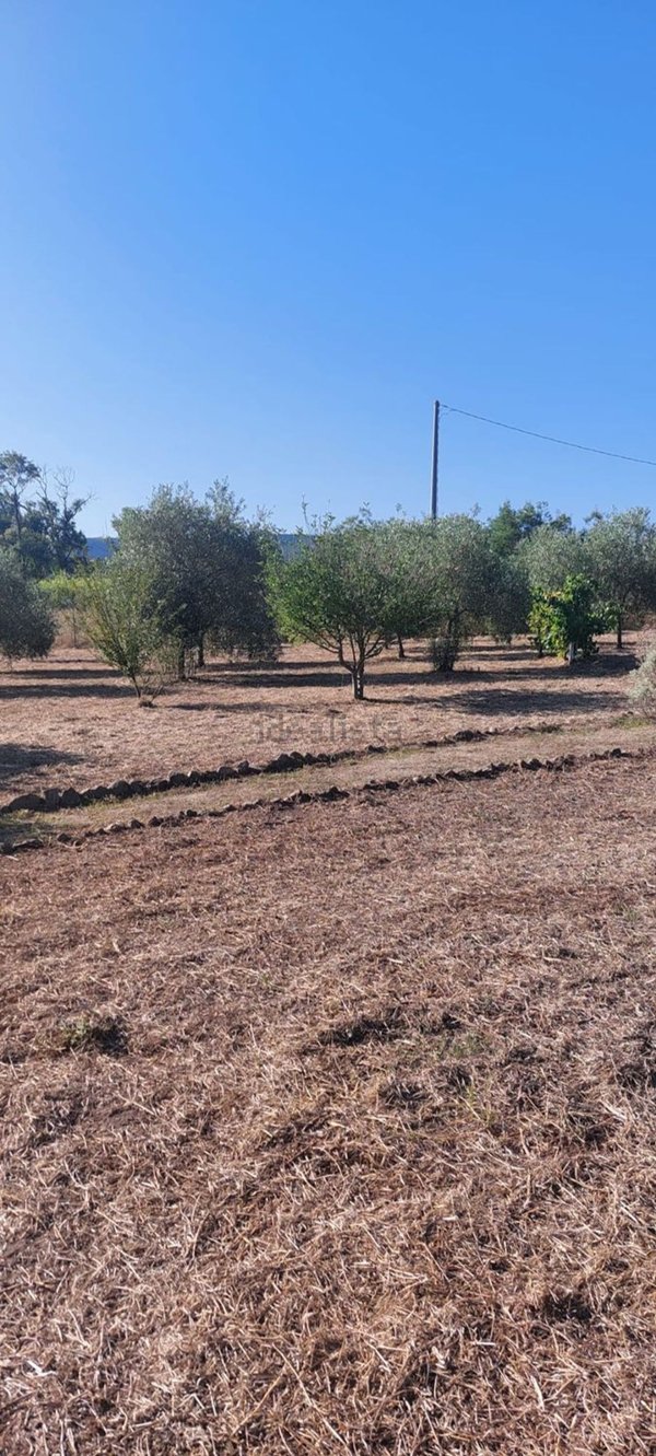 terreno agricolo in vendita ad Alghero in zona Carrabuffas