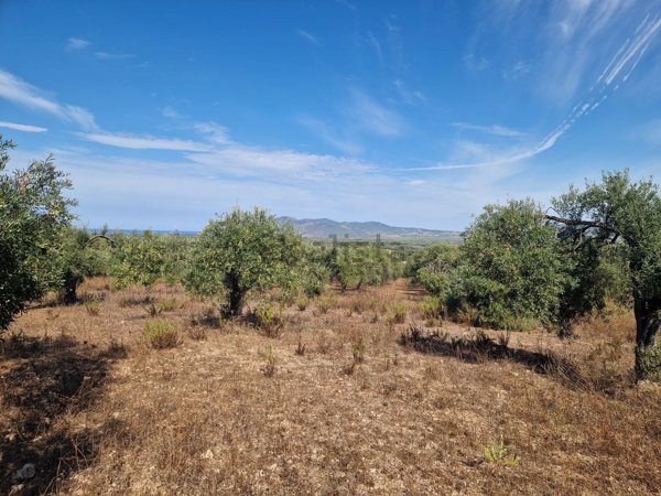 terreno in vendita ad Alghero in zona Carrabuffas