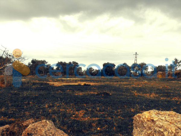terreno agricolo in vendita ad Alghero in zona Maria Pia