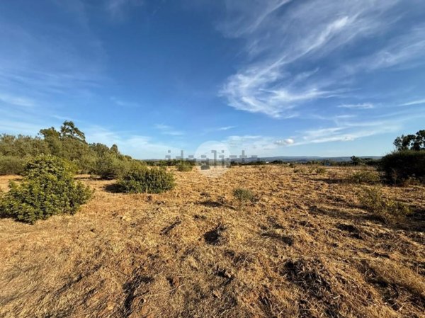 terreno agricolo in vendita ad Alghero in zona Carrabuffas