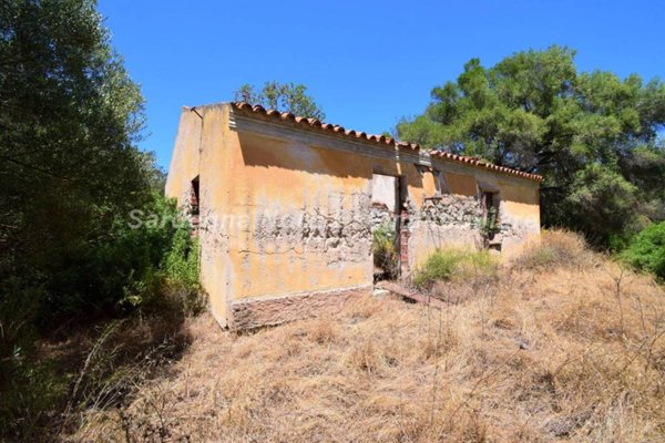 casa indipendente in vendita ad Arzachena in zona Cannigione