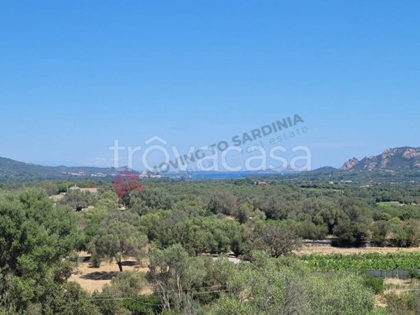 casa indipendente in vendita ad Arzachena in zona Cannigione