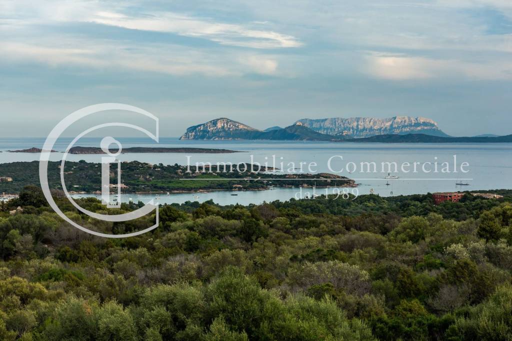 casa indipendente in vendita ad Arzachena in zona Porto Cervo