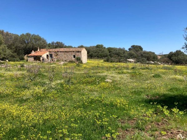 casa indipendente in vendita ad Arzachena in zona Porto Cervo