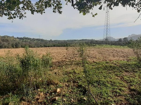 terreno agricolo in vendita ad Arzachena