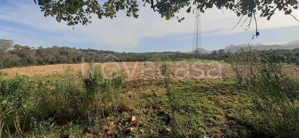 terreno agricolo in vendita ad Arzachena
