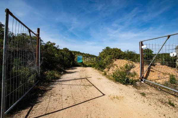 terreno agricolo in vendita ad Arzachena