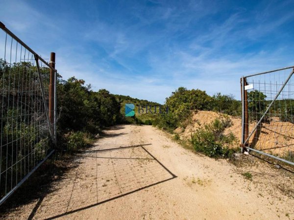 terreno agricolo in vendita ad Arzachena