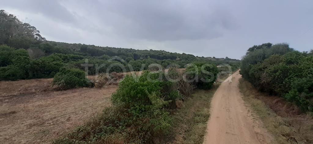 terreno agricolo in vendita ad Arzachena