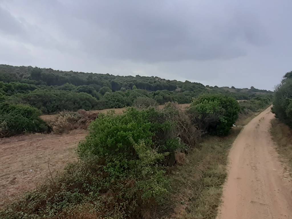 terreno agricolo in vendita ad Arzachena