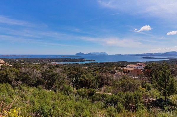 casa indipendente in vendita ad Arzachena in zona Porto Cervo