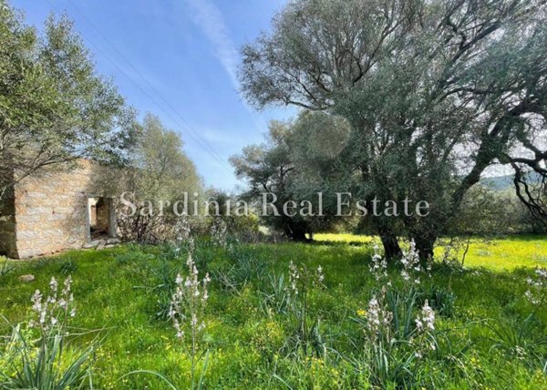 terreno agricolo in vendita ad Arzachena