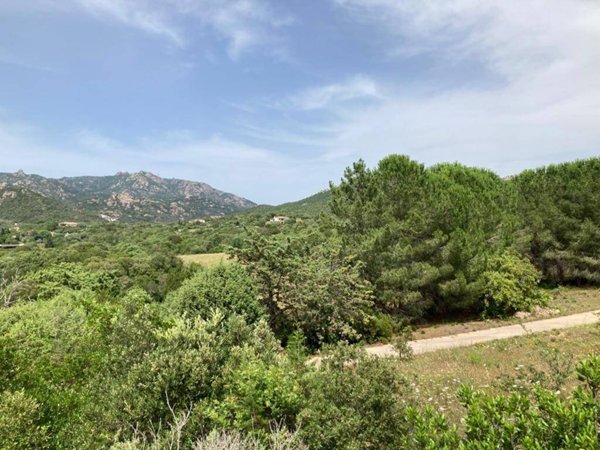 casa indipendente in vendita ad Arzachena in zona Porto Cervo