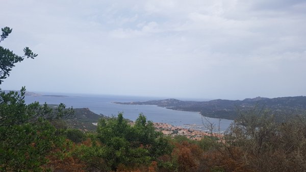 terreno agricolo in vendita ad Arzachena