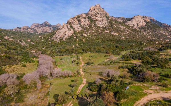 terreno agricolo in vendita ad Arzachena