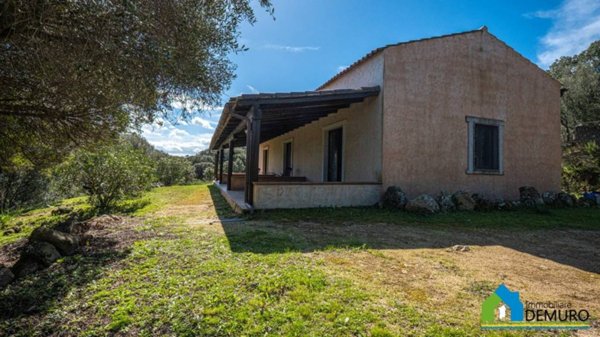 casa indipendente in vendita ad Arzachena