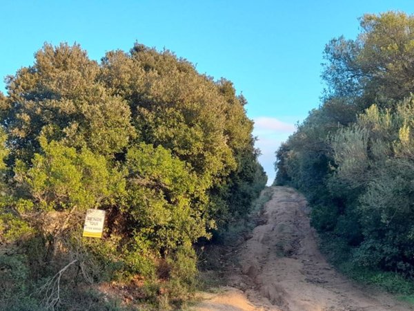 terreno agricolo in vendita ad Arzachena