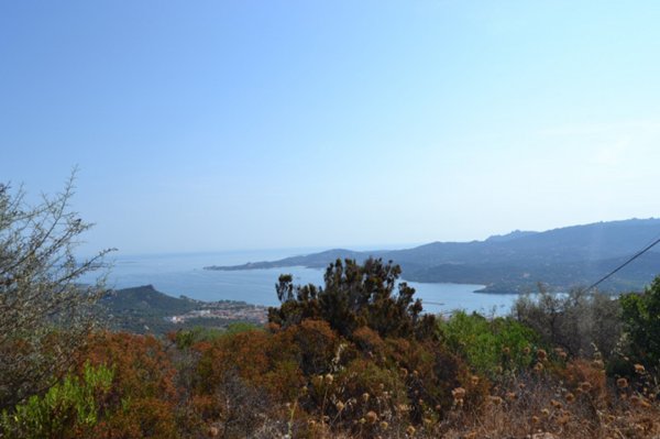 terreno agricolo in vendita ad Arzachena