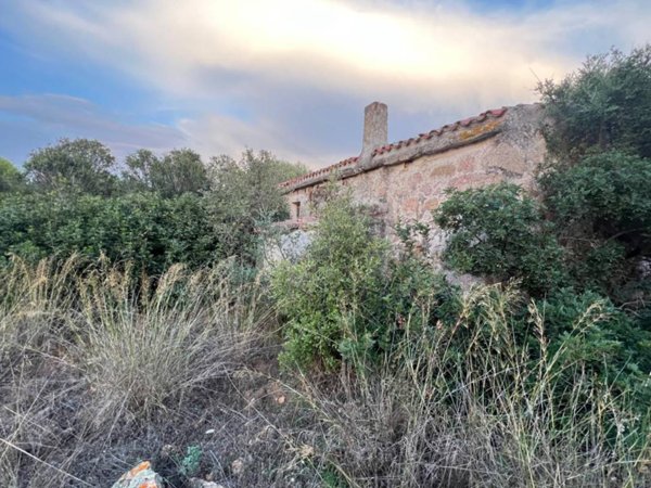 terreno agricolo in vendita ad Arzachena